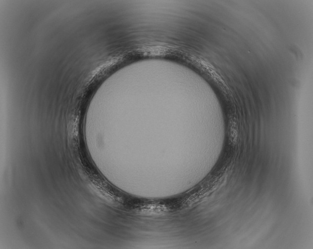 X0000112000543200908311116