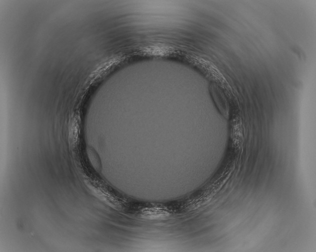 X0000112000544200908311116