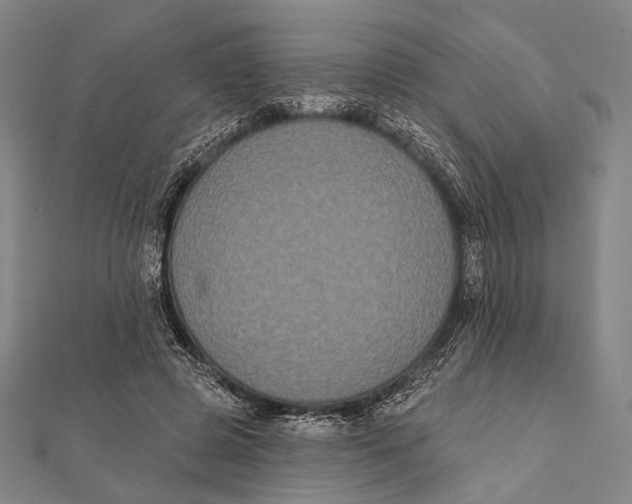 X0000112000545200908311116