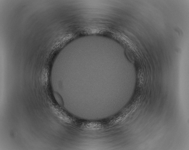 X0000112000546200908311116