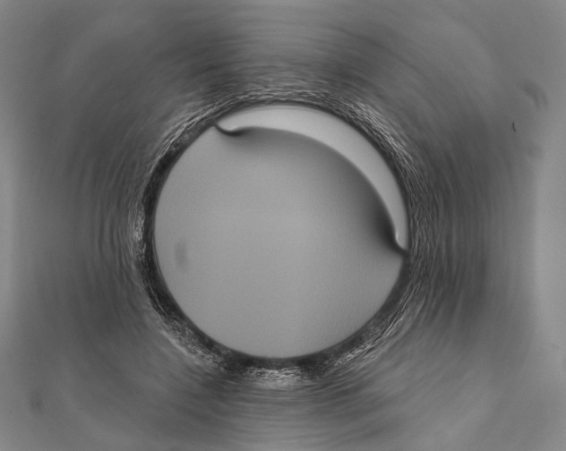 X0000112000548200908311116