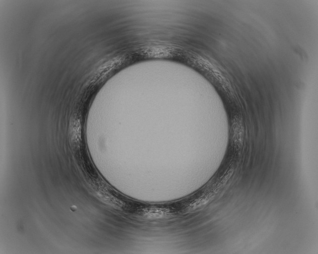 X0000112000549200908311116