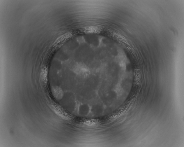 X0000112000550200908311116