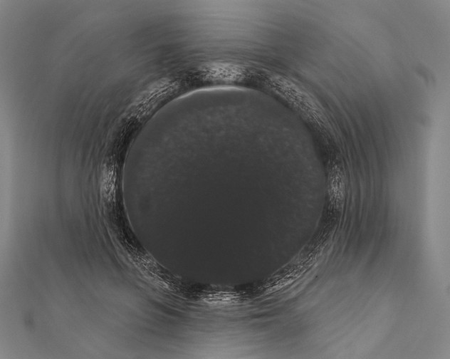 X0000112000551200908311116