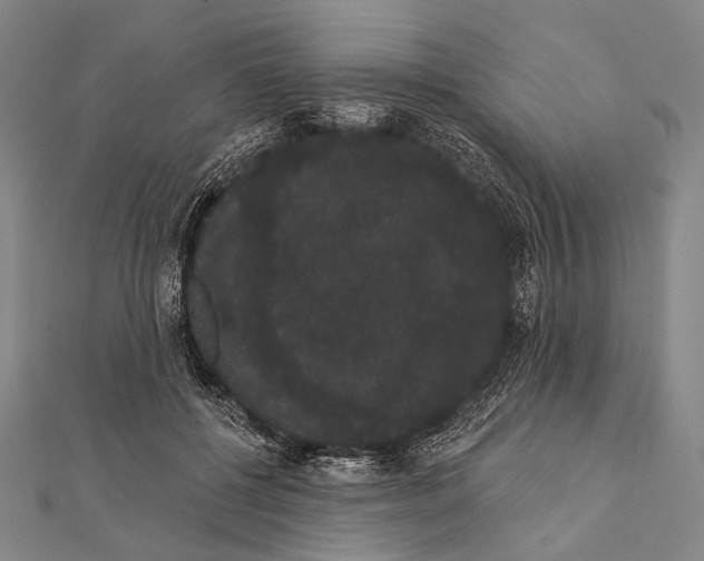 X0000112000552200908311116