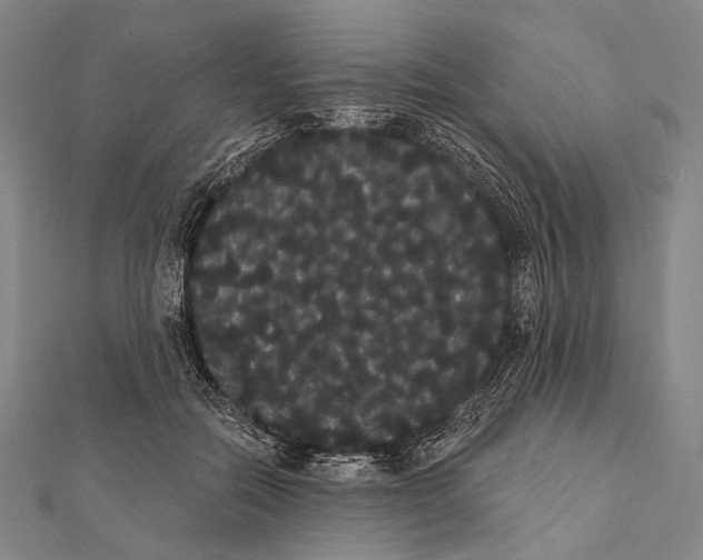 X0000112000554200908311116