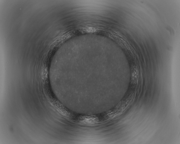 X0000112000555200908311116