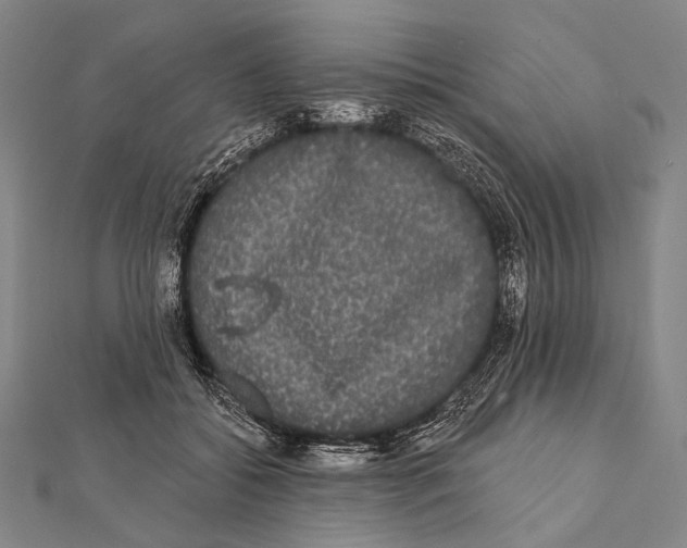 X0000112000556200908311116