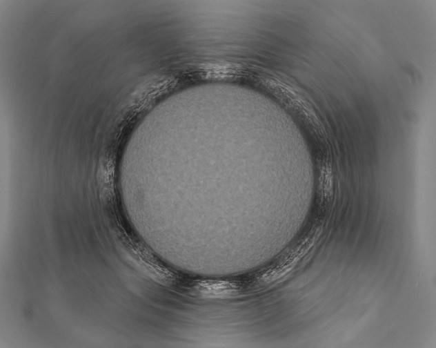 X0000112000557200908311116