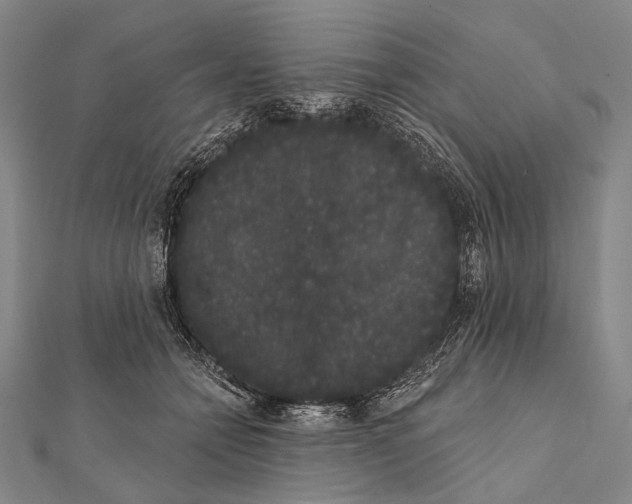 X0000112000558200908311116