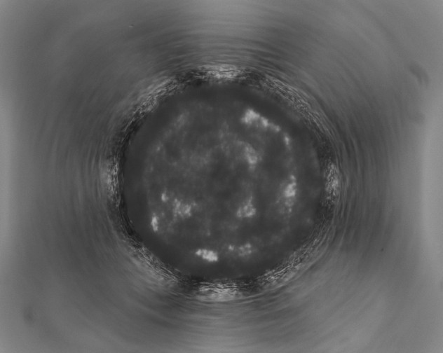 X0000112000559200908311116