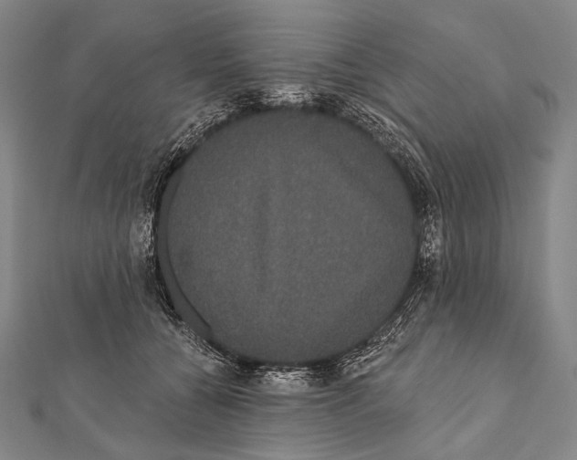 X0000112000560200908311116