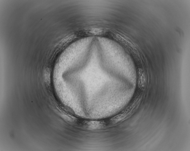 X0000112000562200908311116