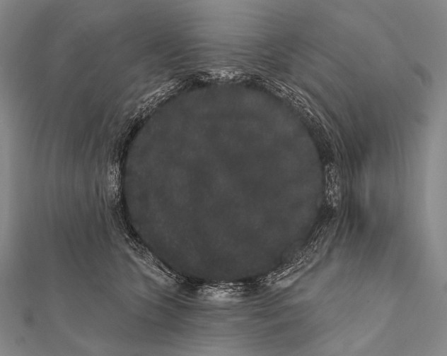 X0000112000563200908311116