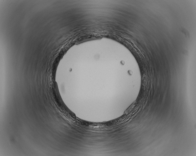 X0000112000564200908311116