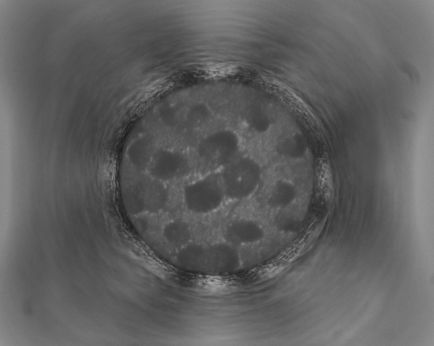 X0000112000565200908311116