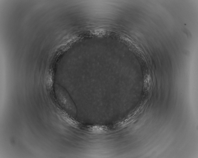 X0000112000566200908311116