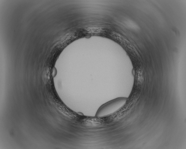 X0000112000567200908311116