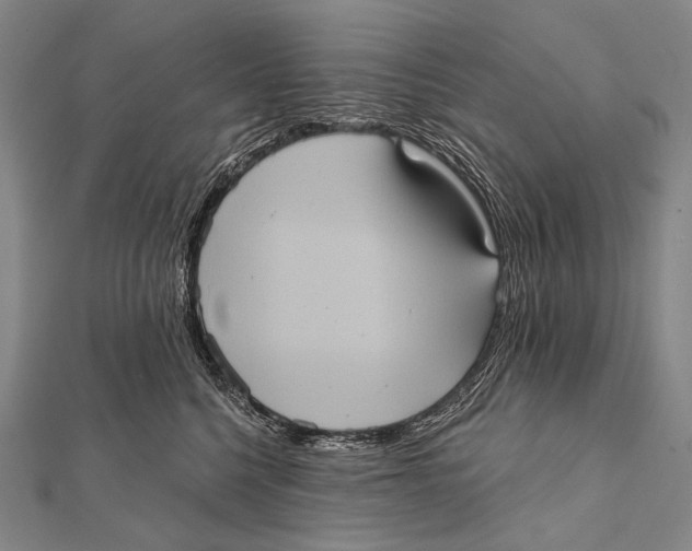 X0000112000568200908311116