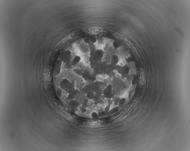 X0000112000569200908311116