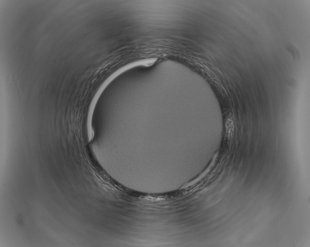 X0000112000570200908311116