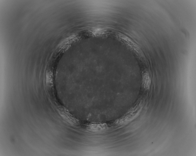 X0000112000571200908311116