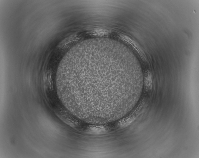 X0000112000572200908311116