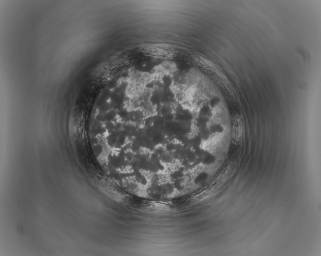 X0000112000573200908311116