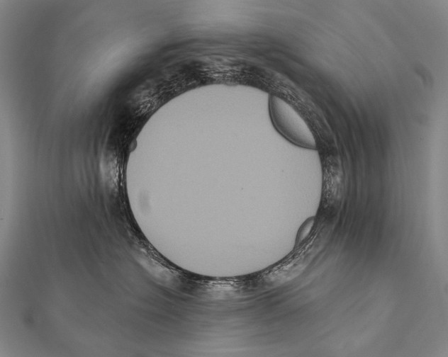 X0000112000574200908311117