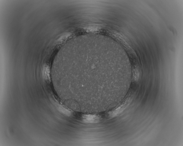 X0000112000575200908311117