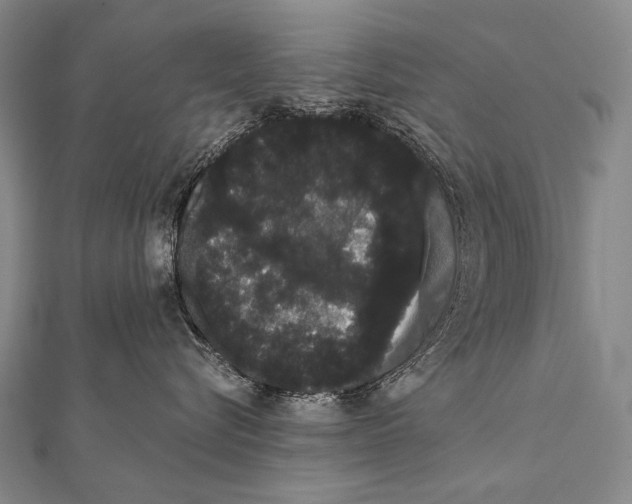 X0000112000576200908311117