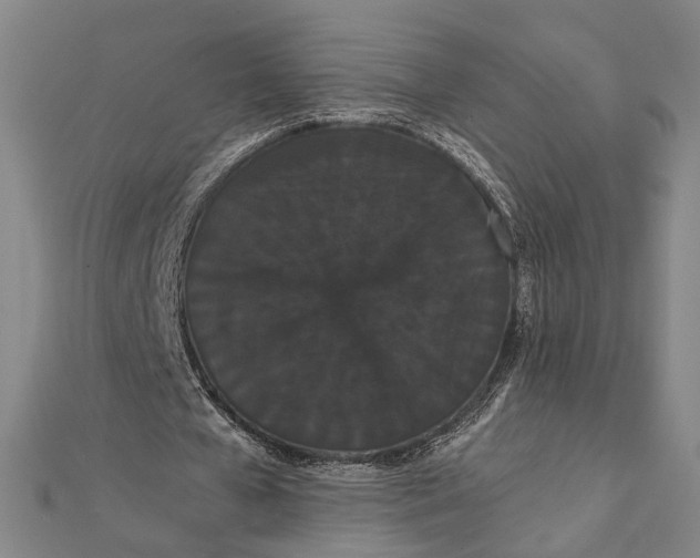 X0000112000577200908311116