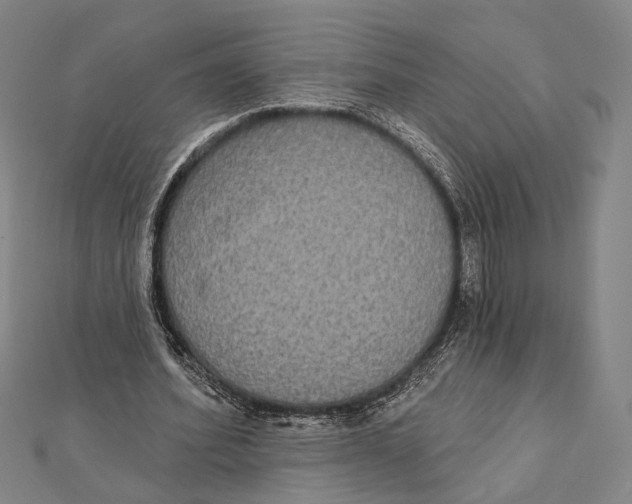 X0000112000580200908311116