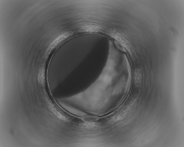 X0000112000581200908311116