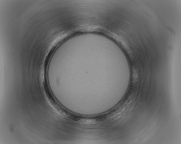 X0000112000582200908311116