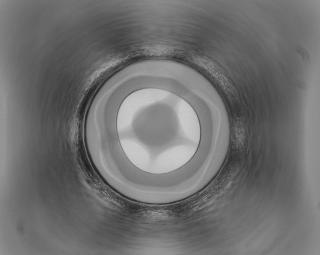 X0000112000583200908311116