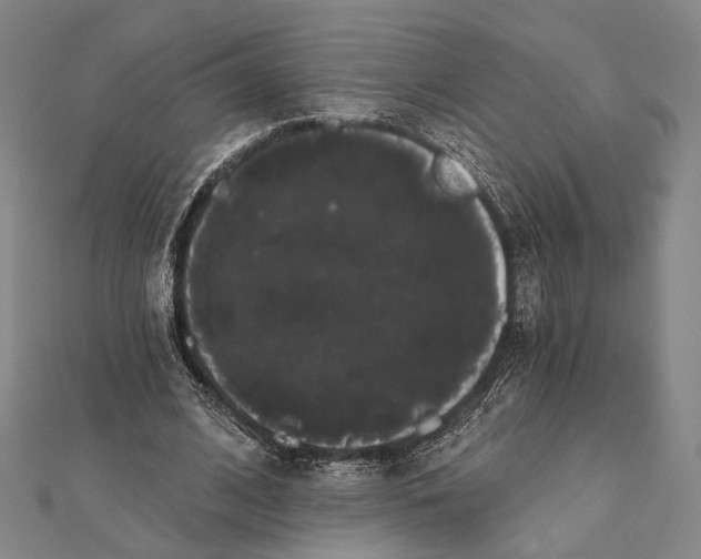 X0000112000584200908311116