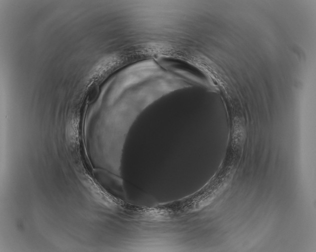 X0000112000585200908311116