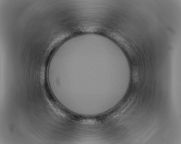 X0000112000586200908311116