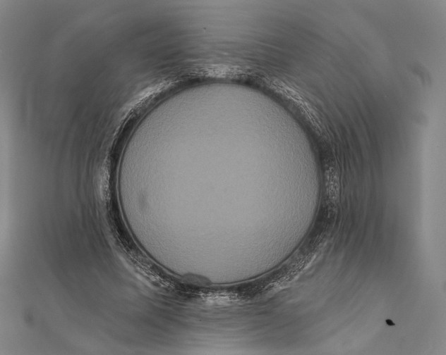 X0000112000587200908311116