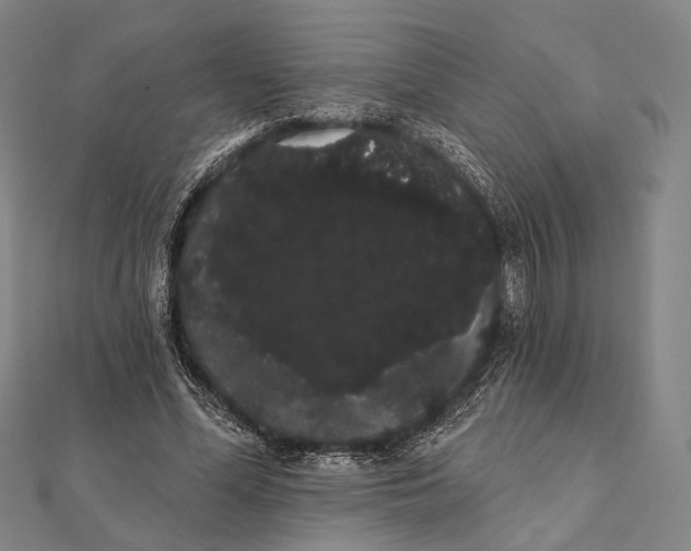 X0000112000588200908311116