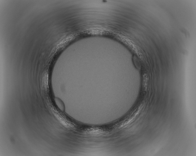 X0000112000589200908311116