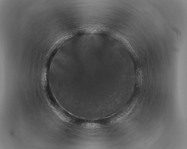 X0000112000590200908311116