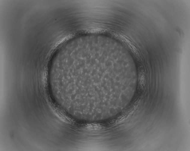 X0000112000591200908311116