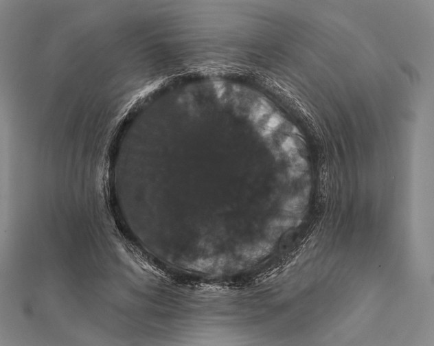 X0000112000592200908311116