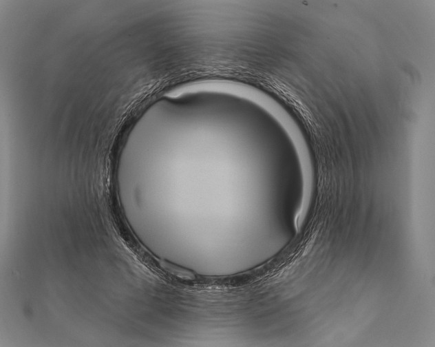 X0000112000593200908311116