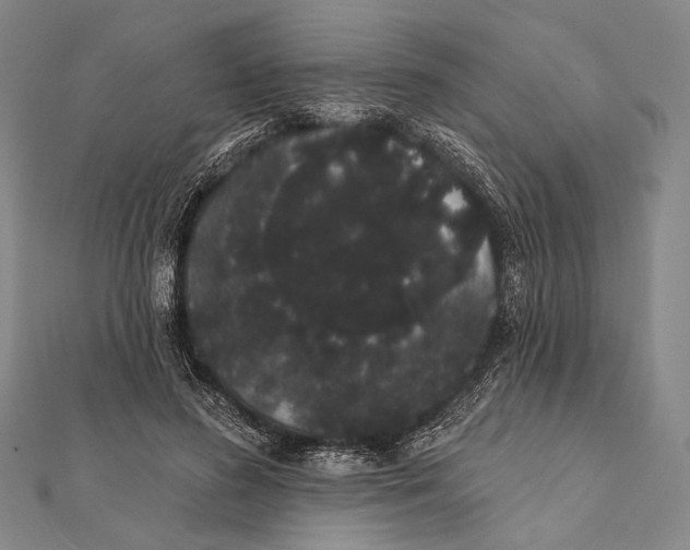 X0000112000596200908311116