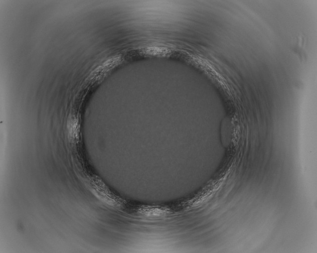 X0000112000597200908311116