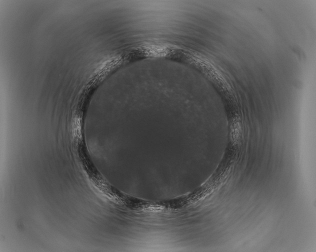 X0000112000598200908311116