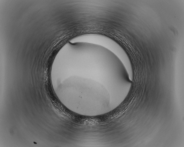 X0000112000599200908311116